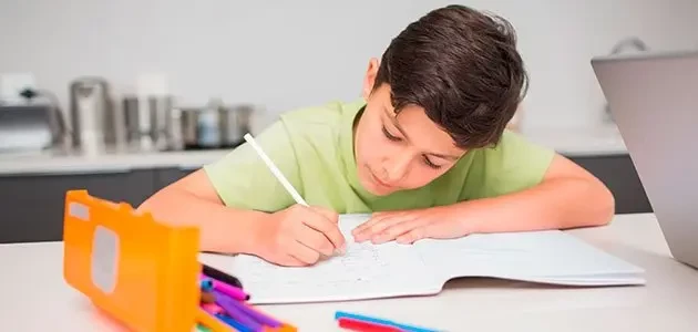 Clases por videoconferencia